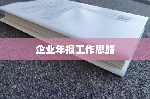 企业年报工作思路