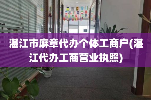 湛江市麻章代办个体工商户(湛江代办工商营业执照)