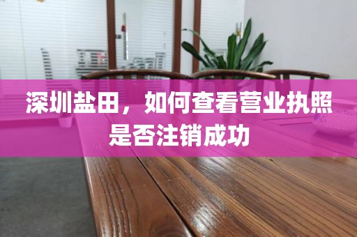 深圳盐田，如何查看营业执照是否注销成功