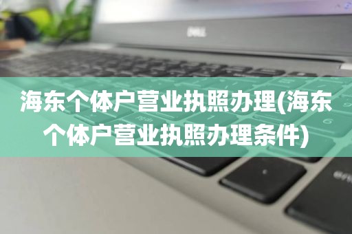 海东个体户营业执照办理(海东个体户营业执照办理条件)
