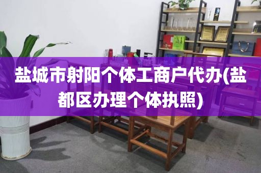 盐城市射阳个体工商户代办(盐都区办理个体执照)