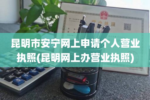昆明市安宁网上申请个人营业执照(昆明网上办营业执照)
