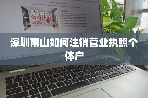 深圳南山如何注销营业执照个体户