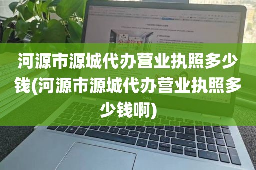 河源市源城代办营业执照多少钱(河源市源城代办营业执照多少钱啊)