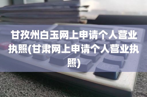 甘孜州白玉网上申请个人营业执照(甘肃网上申请个人营业执照)