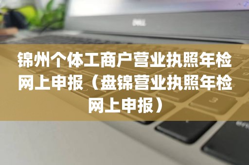 锦州个体工商户营业执照年检网上申报（盘锦营业执照年检网上申报）
