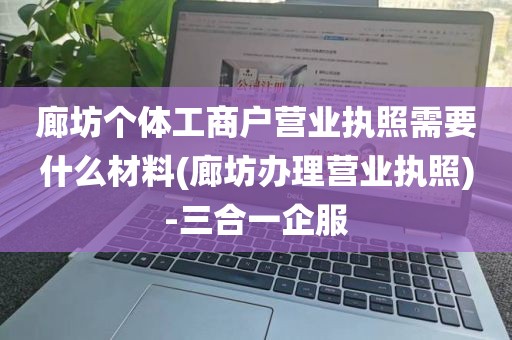 廊坊个体工商户营业执照需要什么材料(廊坊办理营业执照)-三合一企服