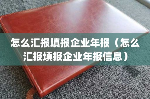 怎么汇报填报企业年报（怎么汇报填报企业年报信息）