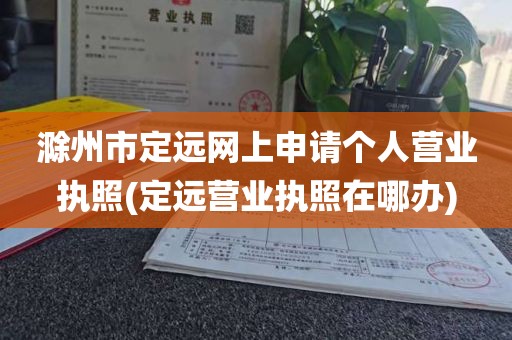 滁州市定远网上申请个人营业执照(定远营业执照在哪办)
