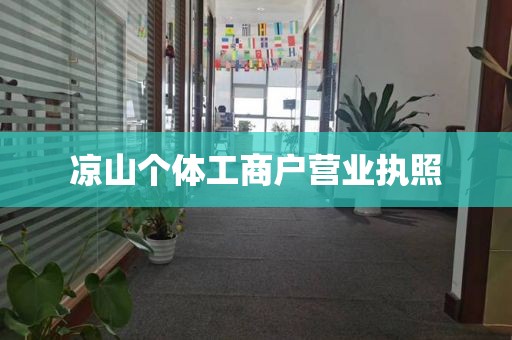 凉山个体工商户营业执照
