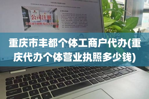 重庆市丰都个体工商户代办(重庆代办个体营业执照多少钱)