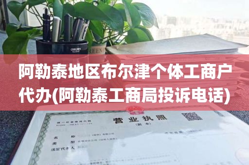 阿勒泰地区布尔津个体工商户代办(阿勒泰工商局投诉电话)