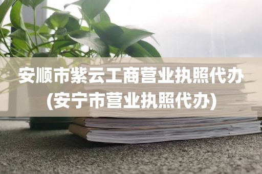安顺市紫云工商营业执照代办(安宁市营业执照代办)