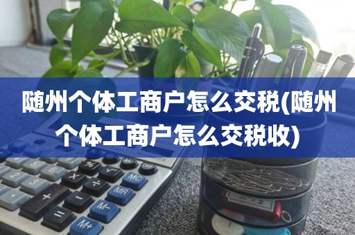 随州个体工商户怎么交税(随州个体工商户怎么交税收)