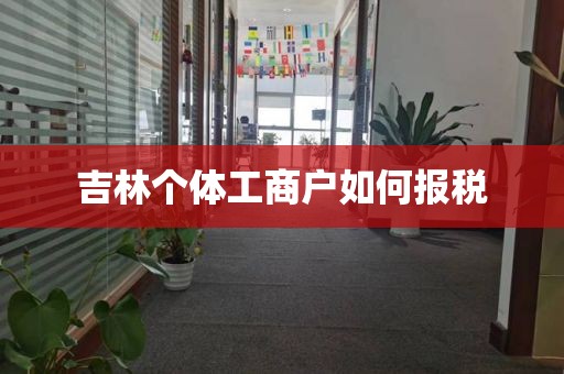 吉林个体工商户如何报税