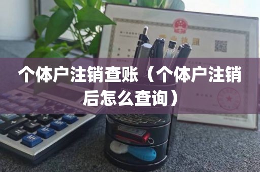 个体户注销查账（个体户注销后怎么查询）