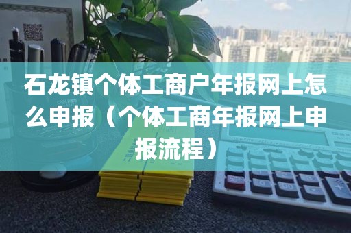 石龙镇个体工商户年报网上怎么申报（个体工商年报网上申报流程）