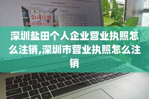 深圳盐田个人企业营业执照怎么注销,深圳市营业执照怎么注销