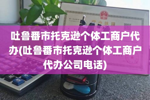 吐鲁番市托克逊个体工商户代办(吐鲁番市托克逊个体工商户代办公司电话)