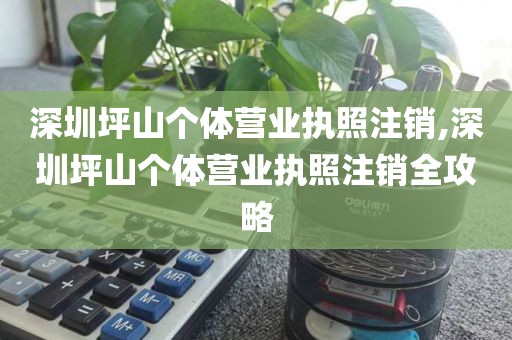 深圳坪山个体营业执照注销,深圳坪山个体营业执照注销全攻略
