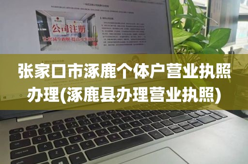 张家口市涿鹿个体户营业执照办理(涿鹿县办理营业执照)