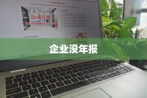 企业没年报