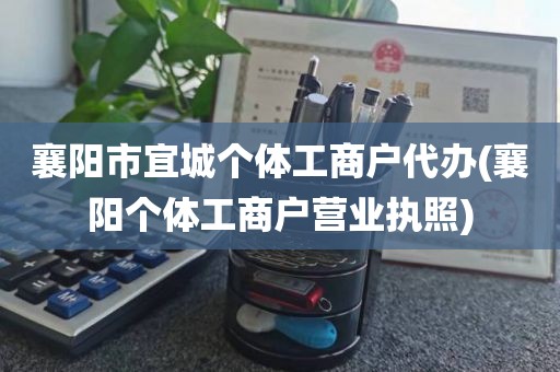 襄阳市宜城个体工商户代办(襄阳个体工商户营业执照)