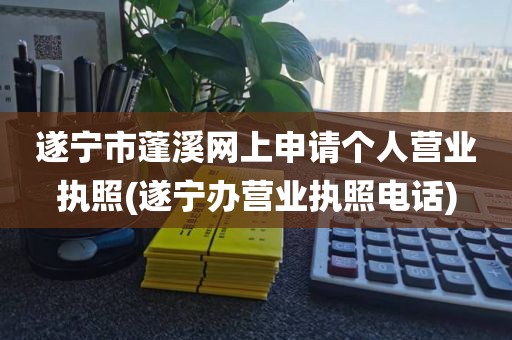 遂宁市蓬溪网上申请个人营业执照(遂宁办营业执照电话)