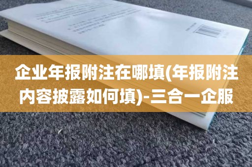 企业年报附注在哪填(年报附注内容披露如何填)-三合一企服
