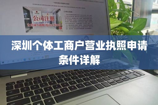 深圳个体工商户营业执照申请条件详解