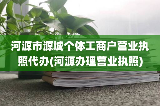 河源市源城个体工商户营业执照代办(河源办理营业执照)