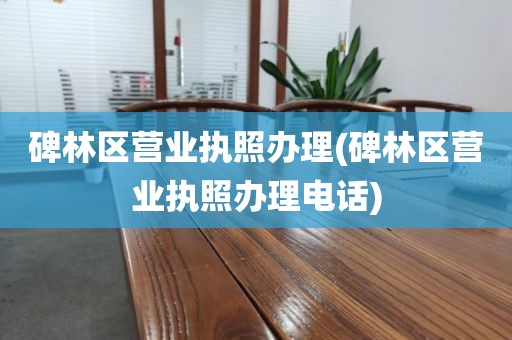 碑林区营业执照办理(碑林区营业执照办理电话)
