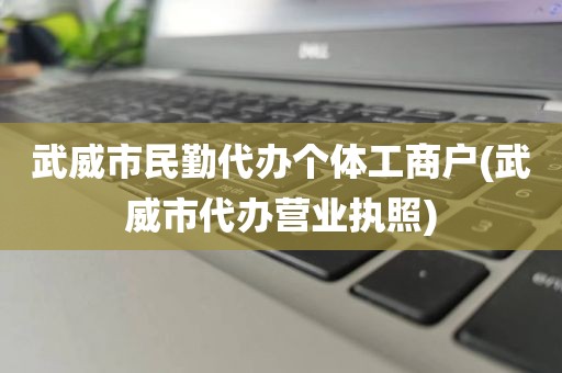 武威市民勤代办个体工商户(武威市代办营业执照)