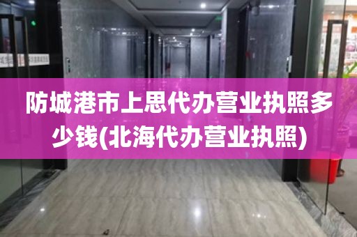 防城港市上思代办营业执照多少钱(北海代办营业执照)