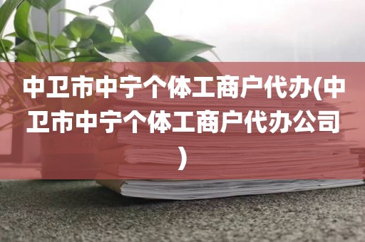 中卫市中宁个体工商户代办(中卫市中宁个体工商户代办公司)