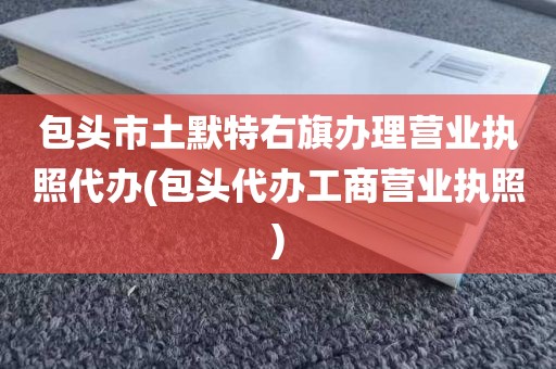 包头市土默特右旗办理营业执照代办(包头代办工商营业执照)