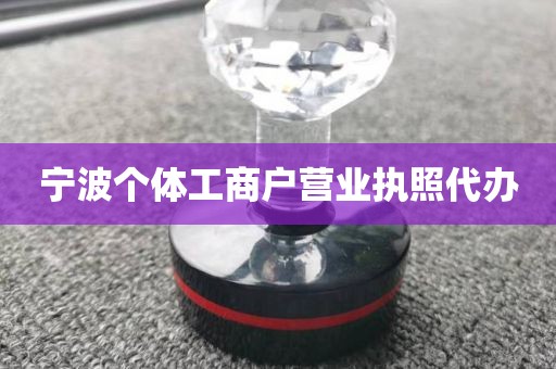 宁波个体工商户营业执照代办