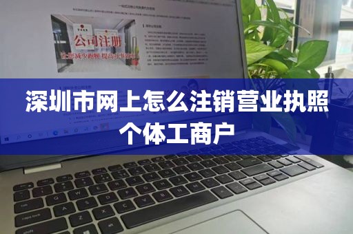 深圳市网上怎么注销营业执照个体工商户