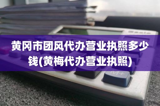 黄冈市团风代办营业执照多少钱(黄梅代办营业执照)