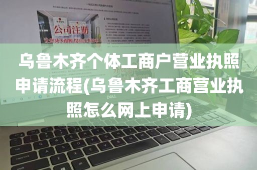 乌鲁木齐个体工商户营业执照申请流程(乌鲁木齐工商营业执照怎么网上申请)