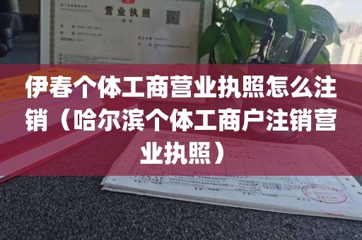 伊春个体工商营业执照怎么注销（哈尔滨个体工商户注销营业执照）