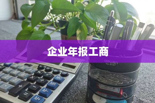 企业年报工商