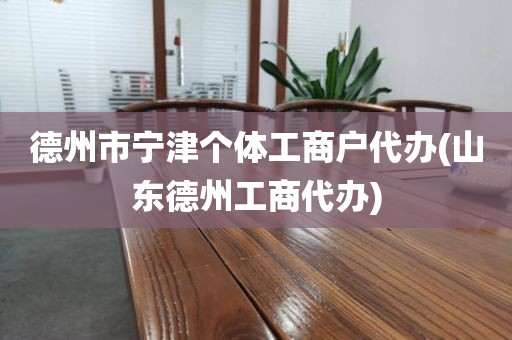 德州市宁津个体工商户代办(山东德州工商代办)