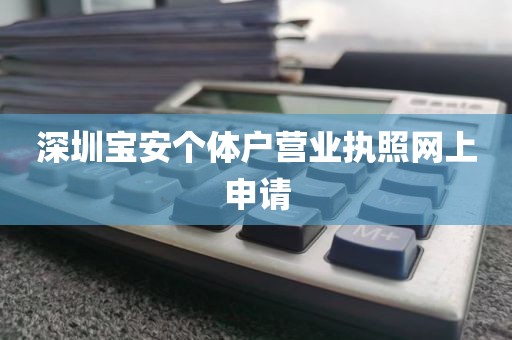 深圳宝安个体户营业执照网上申请
