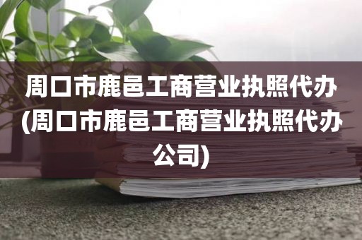 周口市鹿邑工商营业执照代办(周口市鹿邑工商营业执照代办公司)