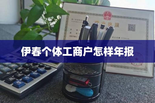 伊春个体工商户怎样年报