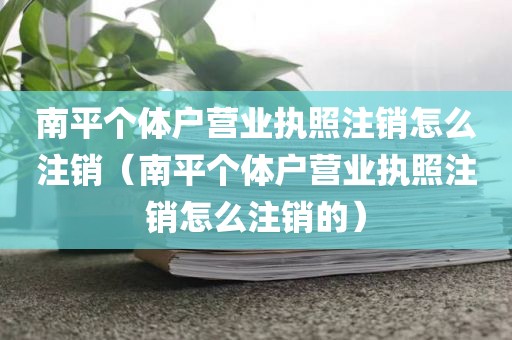 南平个体户营业执照注销怎么注销（南平个体户营业执照注销怎么注销的）
