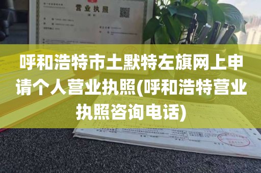 呼和浩特市土默特左旗网上申请个人营业执照(呼和浩特营业执照咨询电话)