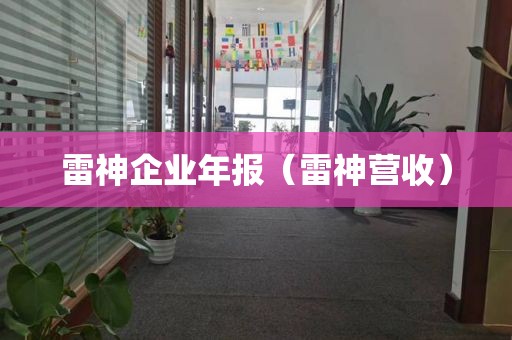 雷神企业年报（雷神营收）