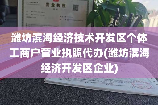 潍坊滨海经济技术开发区个体工商户营业执照代办(潍坊滨海经济开发区企业)